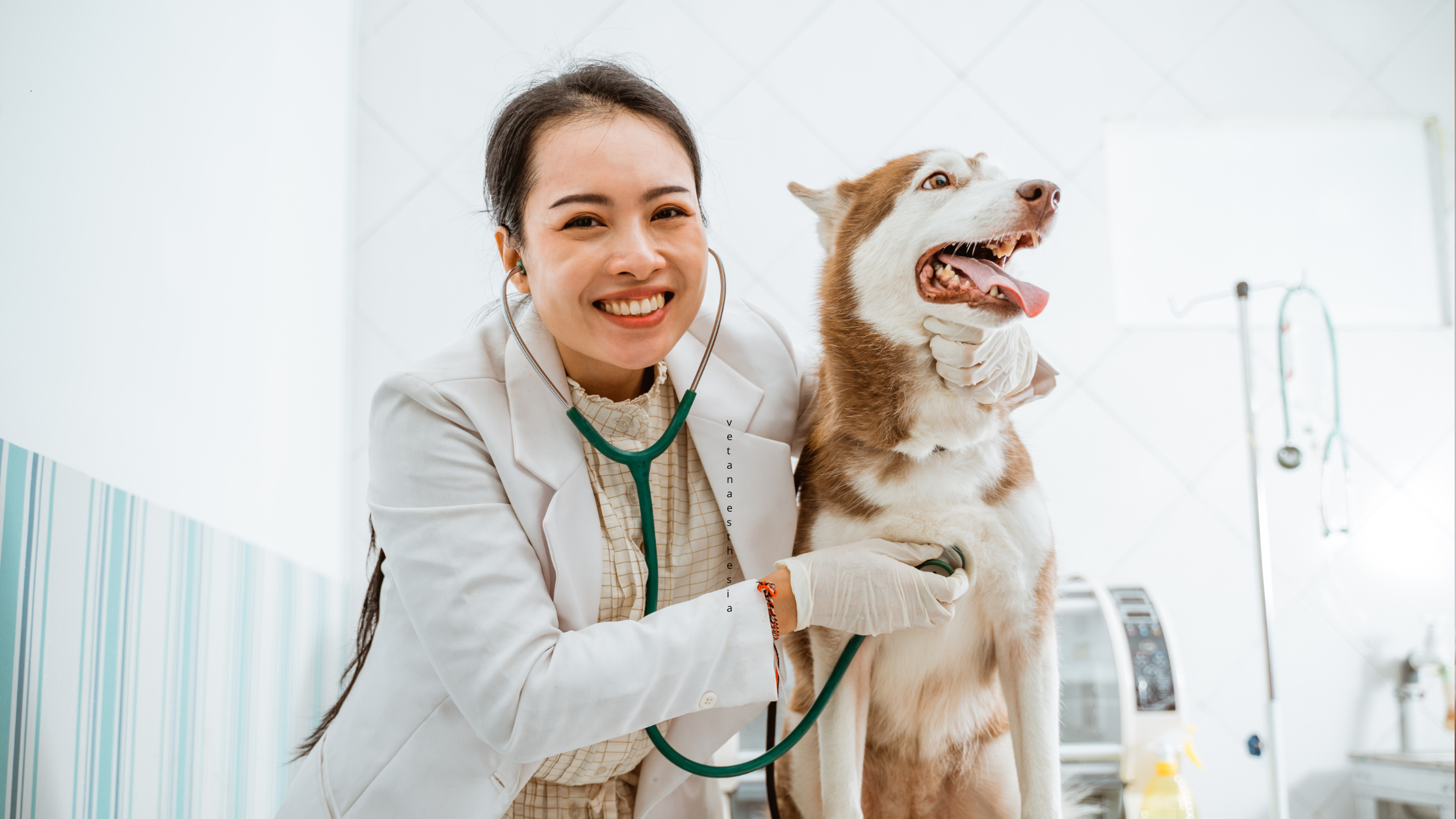 Helping Choose The Appropriate C02 Technology š