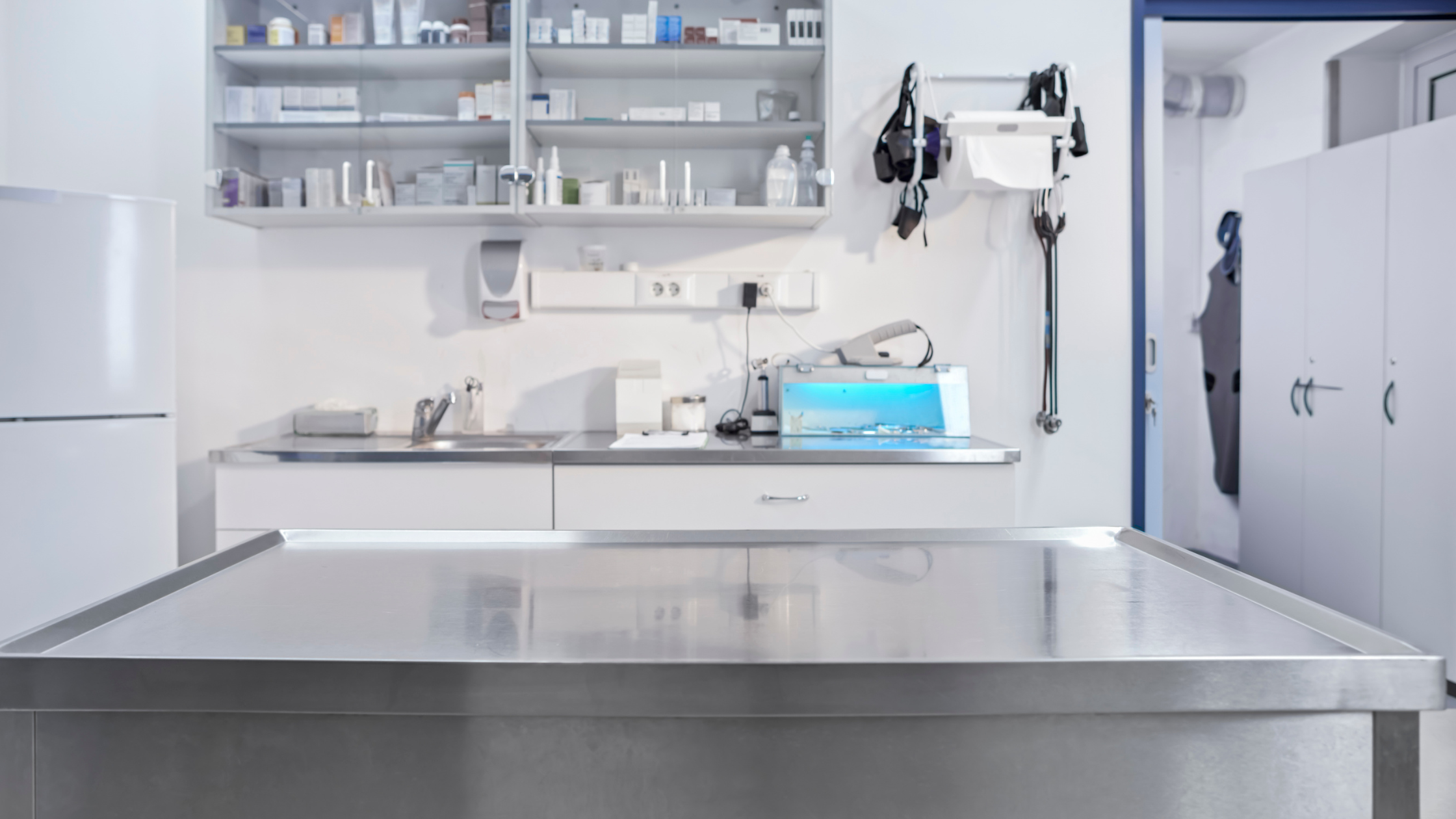 Some Basic Facts about Stainless Steel 🏗️