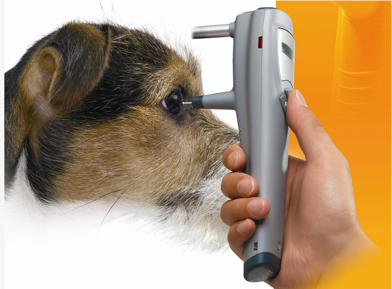 Rebound Tonometer RT100