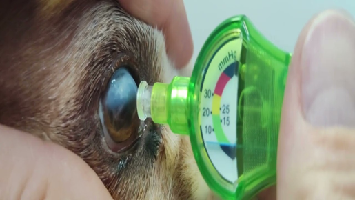 IOPvet Disposable Tonometer