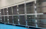 Cage Bank 12041 S/Steel Mobile & Divider - 2 Level