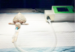 Reptile / Exotic Small Animal Ventilator