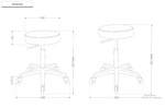 Flat Stool in Black with Alloy Base and Back Support