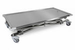 Maxi-lift Treatment & Transport Table inc Cushion - Stainless Steel