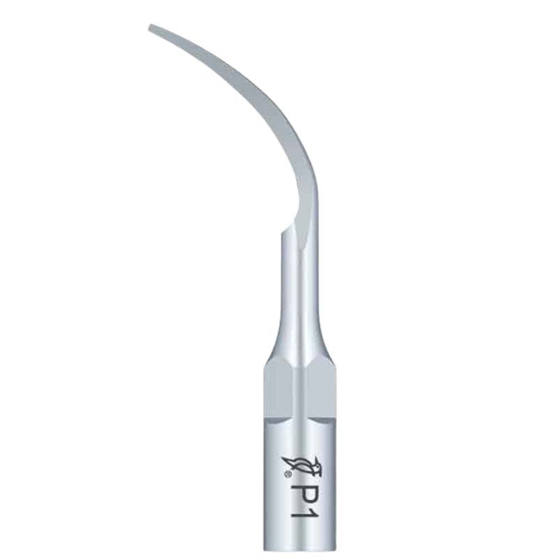 Woodpecker Scaler Tip P1