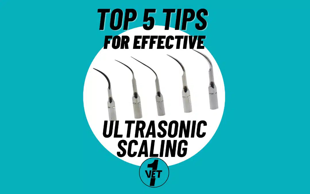 Top 5 Tips for Effective Ultrasonic Scaling 🦷