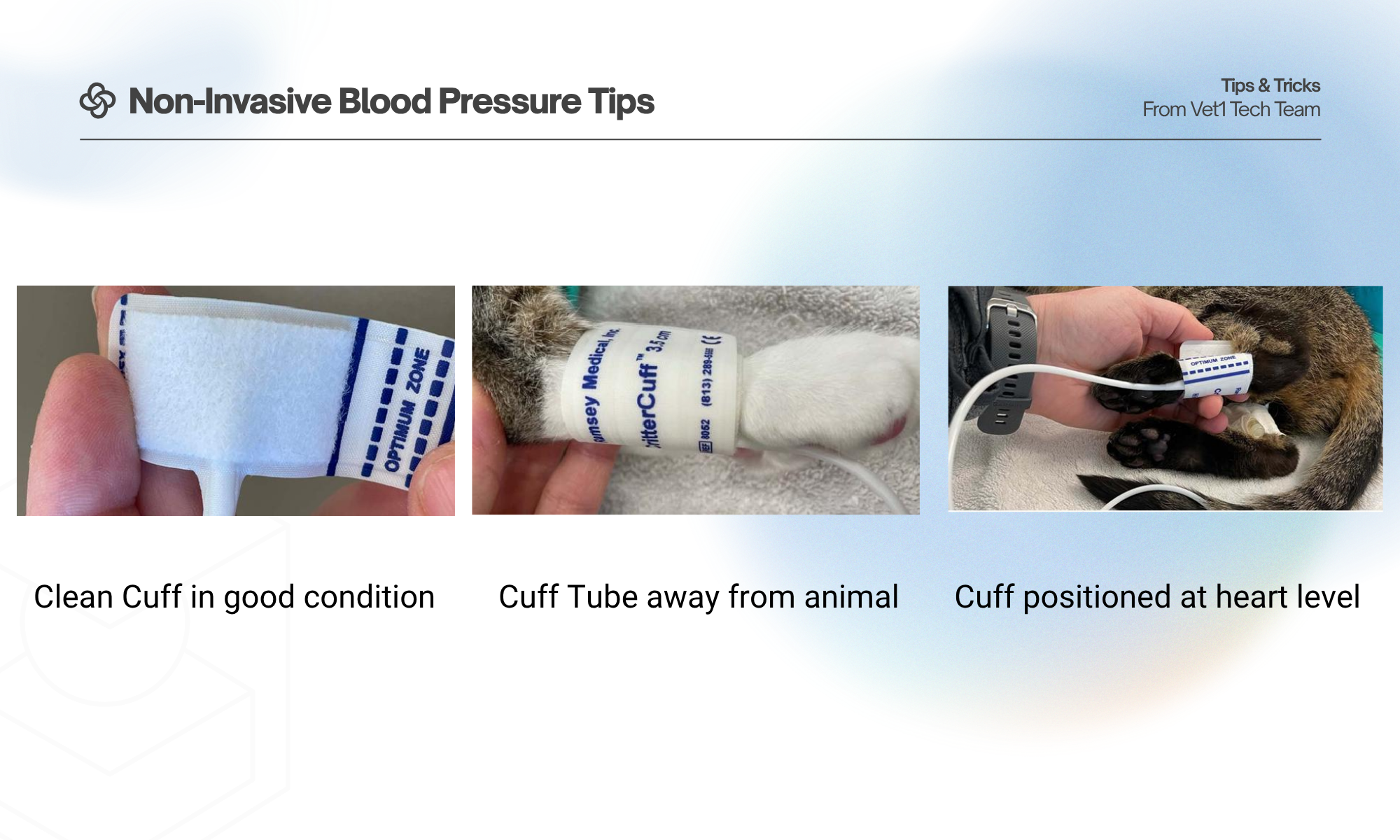 Non-Invasive Blood Pressure Tips