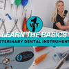 Learn the Basics – Veterinary Dental Instruments 🪥