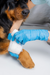 Bandaging and Wound Management