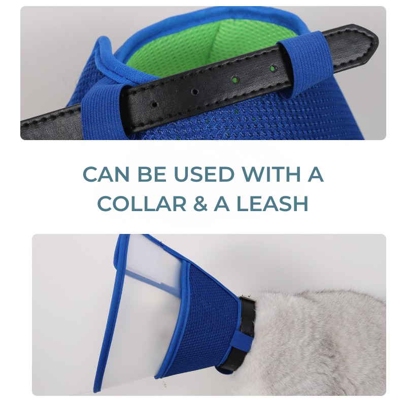 Vet1 Premium Splicing Recovery Collar