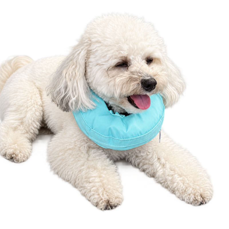 Inflatable Adjustable Recovery Collar for Dogs