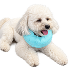 Inflatable Adjustable Recovery Collar for Dogs