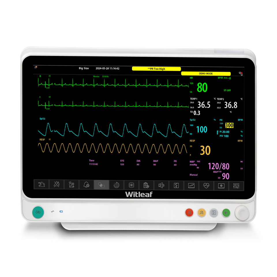 Floline W15 Multiparameter Monitor