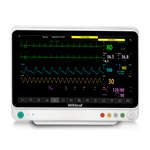 Floline W15 Multiparameter Monitor