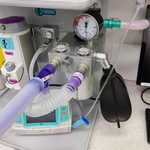 FloLine Plus MAXX Upgrade Anaes Bench