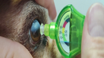 IOPvet Disposable Tonometer