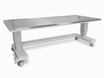 Electric L/Animal Dual Mast Table 300kg JUV
