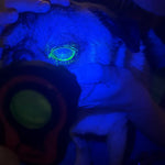 LUMIO Anterior Eye Inspector