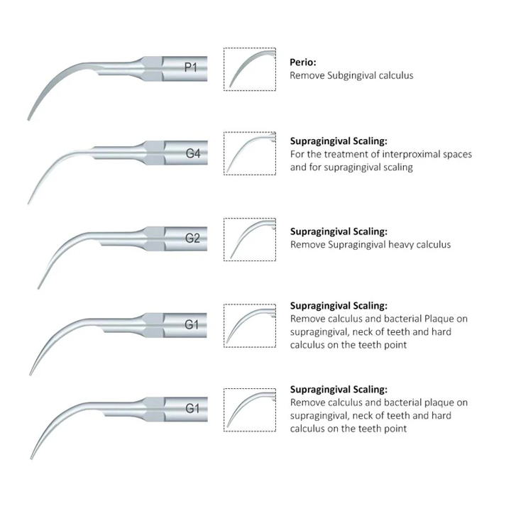 Max Piezo 6+ Ultrasonic Dental Perio Tip P1