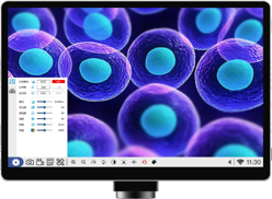 Vet1 Trinoc M/scope with Digital Camera & Screen