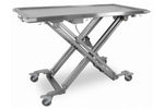 Maxi-lift Treatment & Transport Table inc Cushion - Stainless Steel
