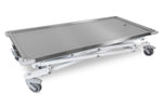 Maxi-lift Treatment & Transport Table inc Cushion