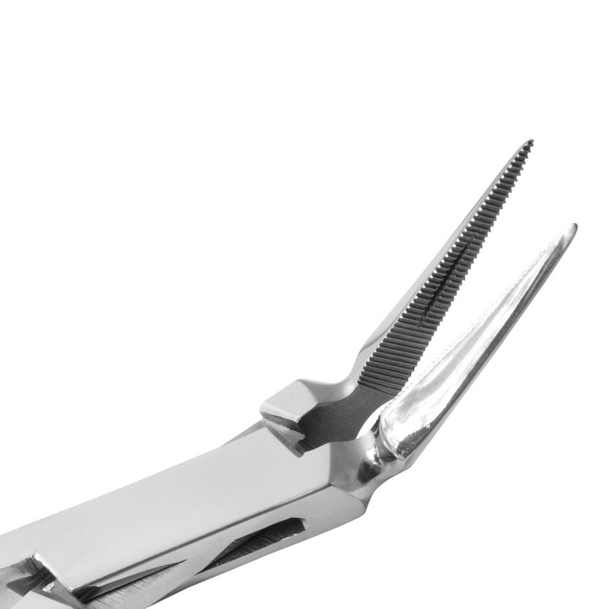 Fragment Extraction Forceps - Angled