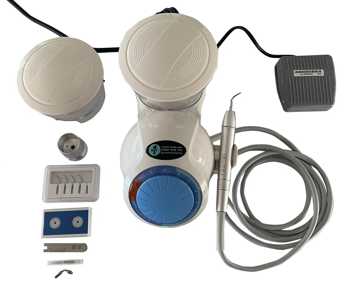 P9L / P5L Portable Dental Ultrasonic Scaler Wet Area Earth
