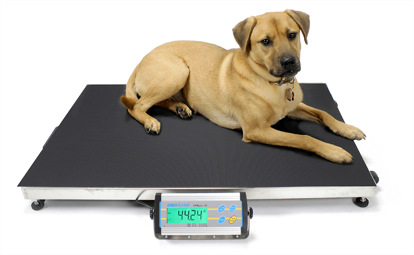Animal Platform Scale Platform Animal Weigh Scale 0.05kg - 150kg– Vet1 Pty Ltd