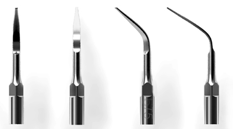 T5 dental scaler tip