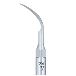 Woodpecker Scaler Tip P1