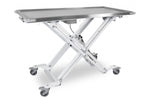 Maxi-lift Treatment & Transport Table inc Cushion