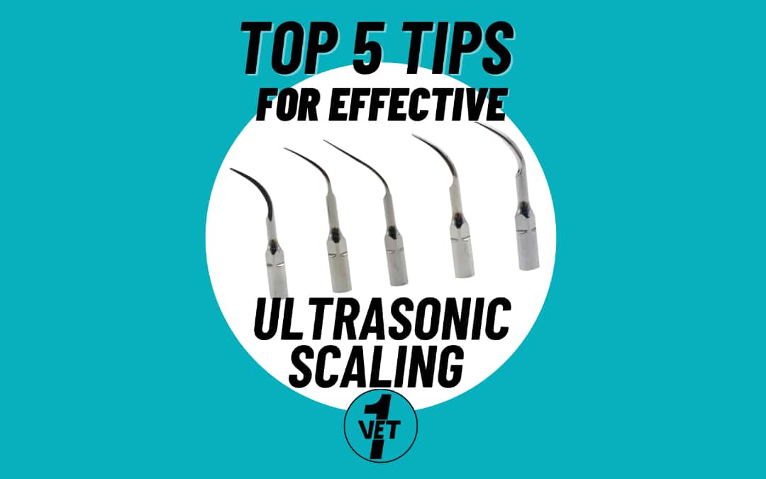 Top 5 Tips for Effective Ultrasonic Scaling